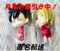 ハイキュー!!こっちむいてFig.Vol.2 黒尾、研磨2個セット