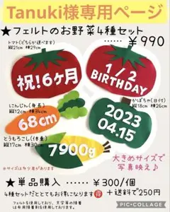 ハーフバースデー キューピーハーフ フェルトのお野菜セット