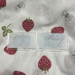 ブルーロック　トレーディング原画アクリルマグネット　糸師凛 糸師冴 糸師兄弟