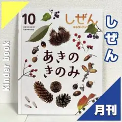 キンダーブック しぜん あきのきのみ【初版・絶版・希少・入手困難】絵本