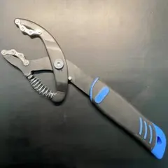 Item thumbnail for item 3889d6e2-70c9-4750-b1af-8b5b126931d3