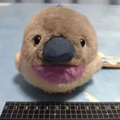 ことり隊　オールスターズ　ハト