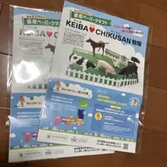 Item thumbnail for item 9a2d7b93-0910-4124-81b1-b230b7f67e3b