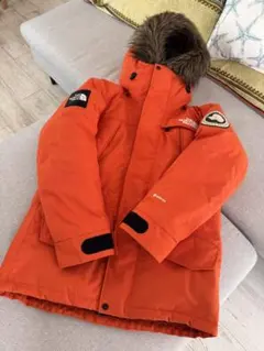 THE NORTH FACEノースフェイス アンタークティカパーカ M