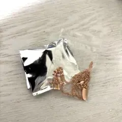 ディズニーストア プリンセス シークレットネックレス オーロラ姫