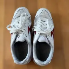 MOONSTAR メッシュ上履き　24.5cm EE 体育館シューズ