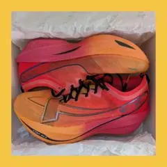 【美品国内取り扱いなし】エクステップ 160X 5.0 PRO Xtep