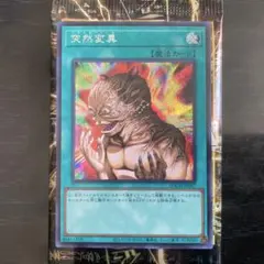 遊戯王 突然変異 SE シークレットレア 1枚 LOCH-JP067