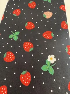 Item thumbnail for item 6103e18d-1ffa-4b1e-9e10-0b87022069c8