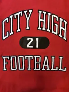 【希少】【USA製】チャンピオンリバースウィーブ　トリコタグ　3段カプセル　XL