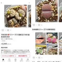 専用❤️同梱-100円ぽんすけ様 リクエスト 3点 まとめ商品