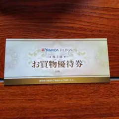 ヤマダホールディングス　お買物優待券　10枚