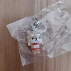 JOCHUM ジェオチャム めじるしアクセサリー まめちぃ 豆原一成