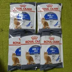 Item thumbnail for item d4890f65-e314-456e-97b3-6215bf091126