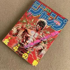 週刊少年ジャンプ 1991年21・21合併号 創刊50周年 ドラゴンボール復刻