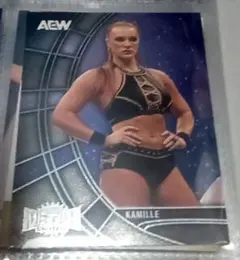 Item thumbnail for item bbafe6a1-c508-45b0-aec3-ba8e4eb53796