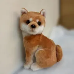 柴犬 キャラクターグッズ