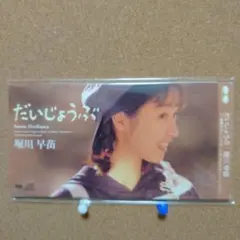 堀川早苗/だいじょうぶ　8㎝CD　C-1852
