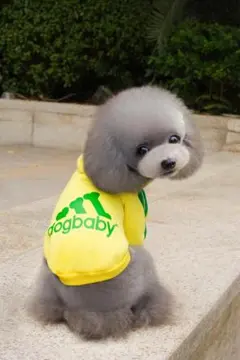 Item thumbnail for item 34696032-76a5-4df0-9de5-b024ce16bff7