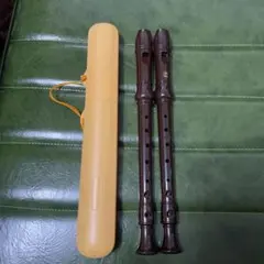 Item thumbnail for item 896efc9b-0890-4cbe-a190-9de4667ab538