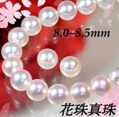 オーロラ花珠真珠鑑別書付 あこや本真珠ネックレス2点セット PNM015