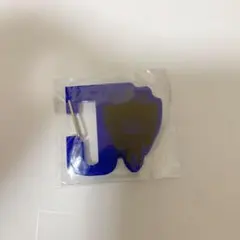 三代目J soul brothers カラビナ