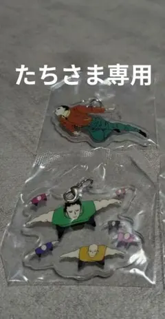 たちさま専用 HUNTER×HUNTER 一番くじアクリルチャーム 2個セット