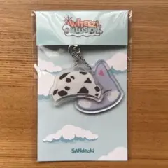 ANITEEZ サン サンドキ アクキー