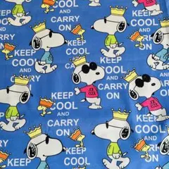 ❣️☆可愛いスヌーピー 柄　綿100% シーチング生地　110x1M C