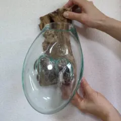 壁掛け花瓶 ガラス 木材 　おしゃれ　オーガニック