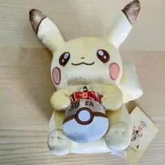 ポケモンセンター 30周年記念ぬいぐるみ マスコット ピカピカ ! ピカチュウ