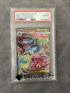 ね*こ様 PSA10 カラミンゴ ルンパッパ AR 2枚セット ね*こ様 PSA10 カラミンゴ ルンパッパ AR 2枚セット - メルカリ
