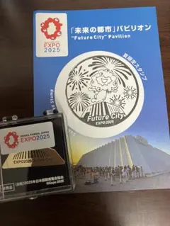 大阪・関西万博 EXPO2025 未来の都市 ピンバッジ EXPO2025 公式ロゴ シルバーピンバッジ Ⓚ – EXPO2025 来場者