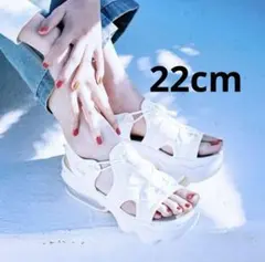 NIKE エアマックス ココ ホワイト 22 完売色 廃盤色