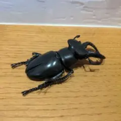 Item thumbnail for item b57800d1-ca1c-4c66-8c65-b4a2450fde69