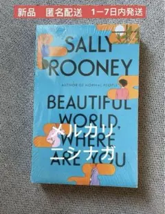 Sally Rooney Beautiful World, Where Are