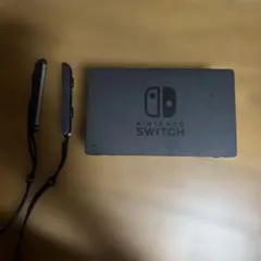 Nintendo Switch 周辺機器 ブラック