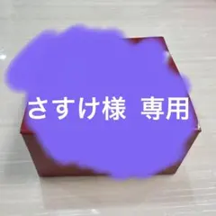 さすけ様 専用