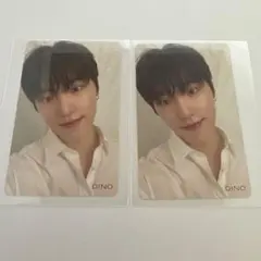 SEVENTEEN 24H 店舗特典 トレカ ディノ チャン 2枚