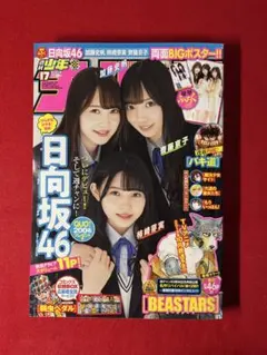 2025年最新】週刊少年チャンピオン 17の人気アイテム - メルカリ