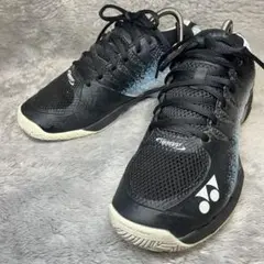 Item thumbnail for item 608a8868-d38c-4089-ad04-f85f738df2d7