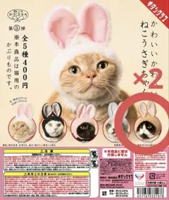 ねこのかぶりもの かわいいかわいいねこうさぎちゃん ブラウン 2個