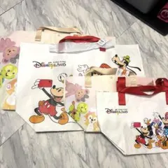 香港ディズニー限定 ショッピングバック 4枚セット