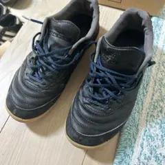 モレリア　サラ　プロ　フットサルのサムネイル