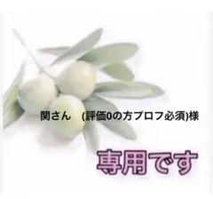 ⭐️ 関さん　(評価0の方プロフ必須)様専用⭐️