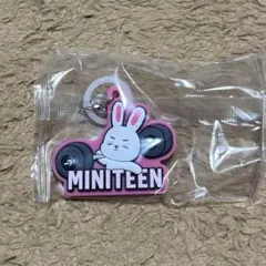 miniteen めじるしアクセサリー エスクプス　チェチェリ