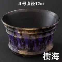 牢城〜青金〜 5号直径15㎝ メッシュ入り3dプリンター鉢 作家鉢 アガベ