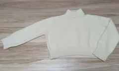 ★美品★エイメル·amel ハイネックショートニット