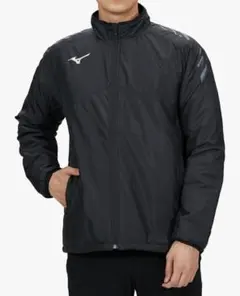 Item thumbnail for item 0b3bd869-b064-4878-a7c7-293b3745ea03