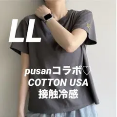 LLサイズ新品しまむらpusanぷーさん半袖 Tシャツ ダークグレー シンプルのサムネイル